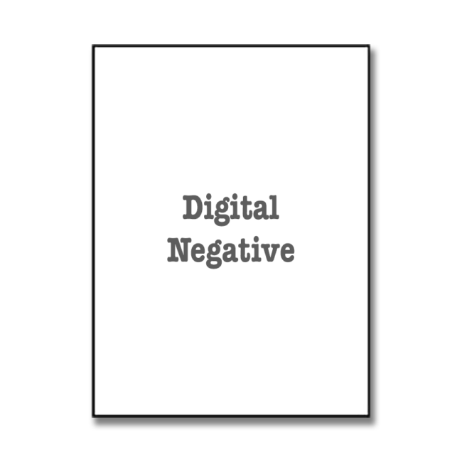 Digital Negative - Piezography Print